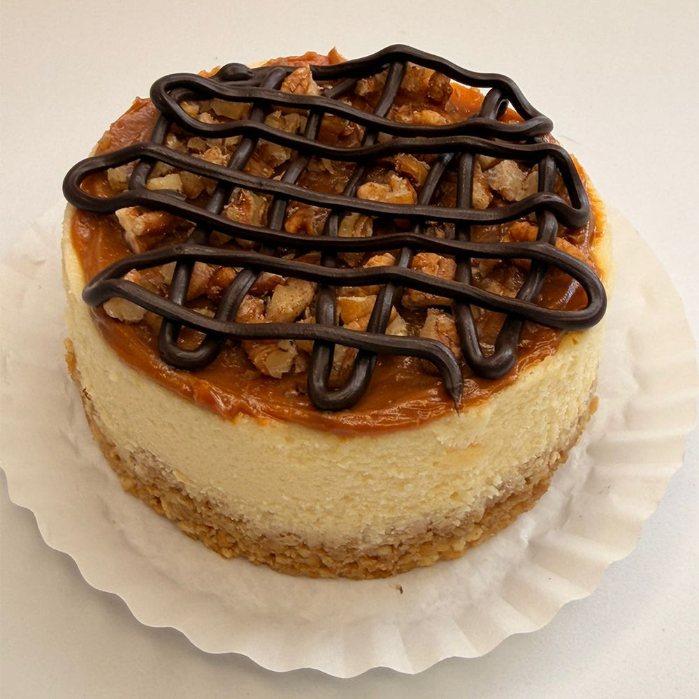Cheesecake Tortuga